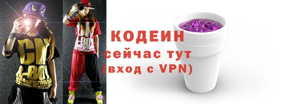 мяу мяу мука Иннополис