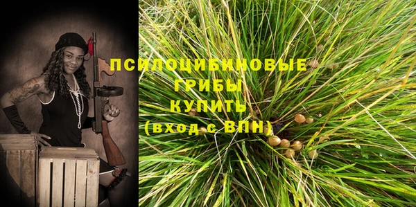 сатива Алексеевка
