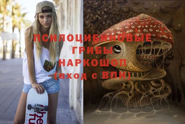 тгк Абинск