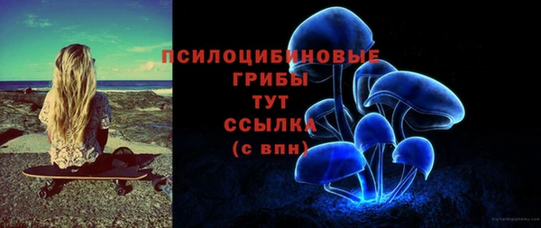 круглые Алзамай